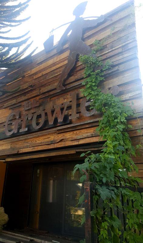 el-growler-valdivia-04